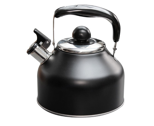 Induction hob whistling kettle - induction,