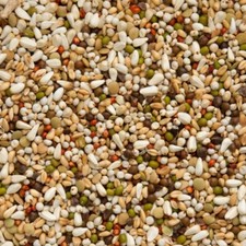 Beyers Premium Wal Zootjens