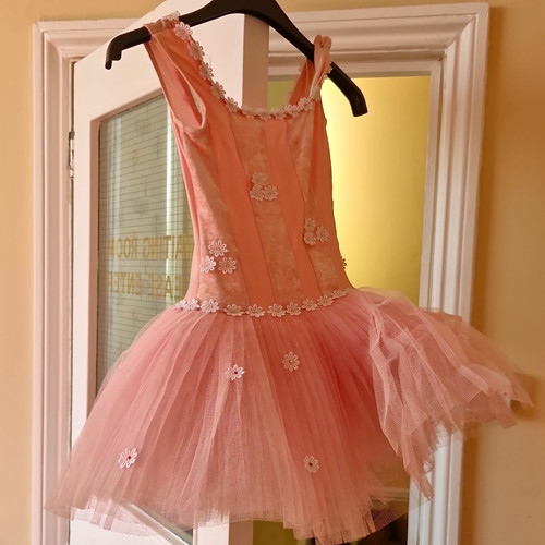 Beautiful pink ballet tutu - pink,