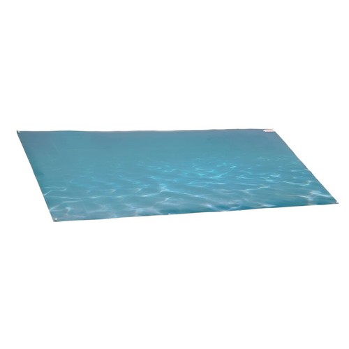 Dsheng fish tank background - fish,