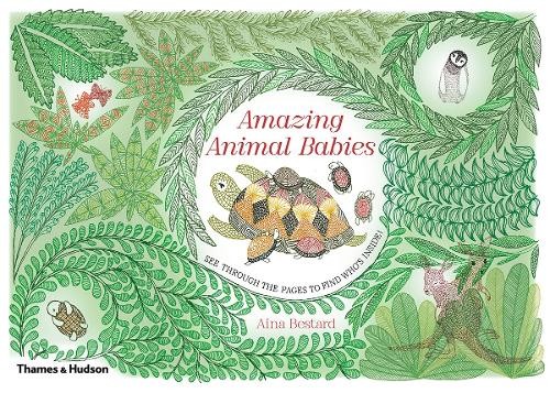 Amazing animal babies - by, aina