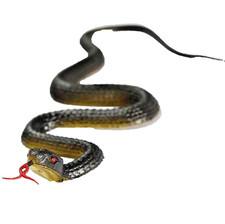 45cm Real Rubber Toy Fake Snake Safari Garden Prop Joke Prank Halloween Gift