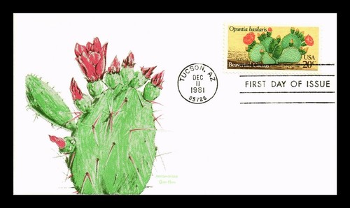 Beavertail cactus 1981 tudor - ,