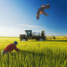 Hawk Kite Bird Scarer Reflective Bird Scarer Hawk Kite for Crops Bird Scarer 