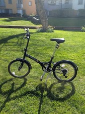 Dallingridge Freedom