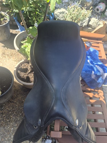Harry dobbs jaguar black - harry,