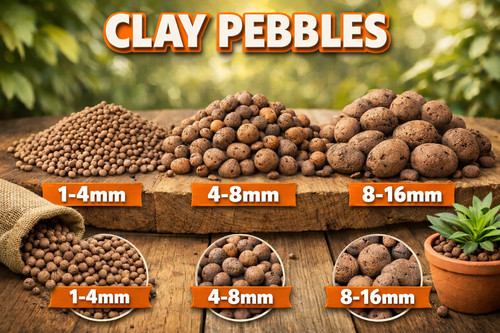 Clay pebbles natural - clay, aqua