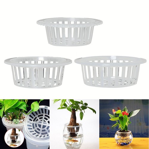 Long lasting plastic - lasting, pot