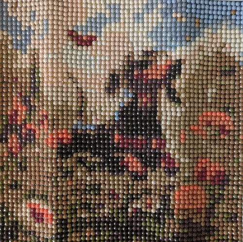 Completed miniature dachshund - completed,
