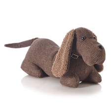 Max the boucle - max, dog