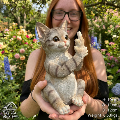 Sassy cat giving - sassy, the