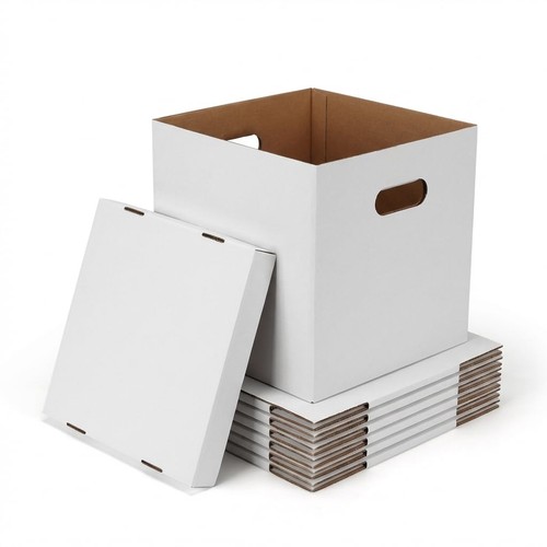 Pcs white vinyl record - vinyl,