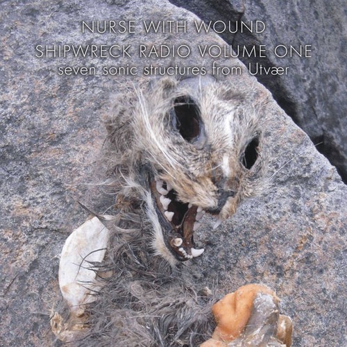 Nurse with wound shipwreck - with,