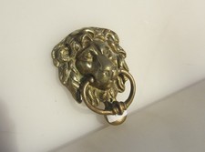 Vintage Brass Lion Head Door