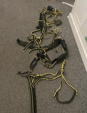 Used Black And Yellow Pony