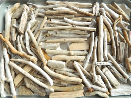 100 driftwood pieces for arts - 100,