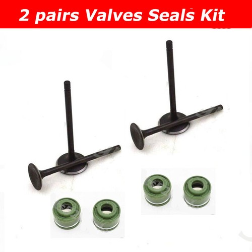 Valve seal for - seal, rebel