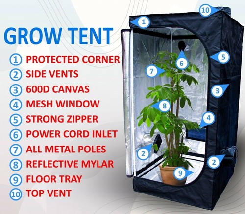 Grow tent x 160 - 80,
