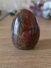 Beautiful Vibrant Petrified