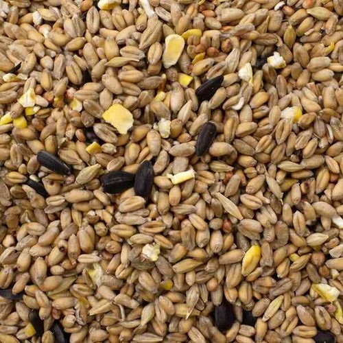 Original wild bird seed - seed, mix