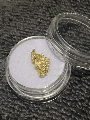 43g raw gold alaskan - raw, nuggets