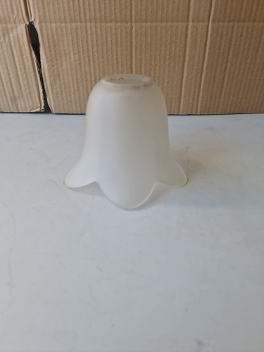 Vintage frosted glass tulip - frosted,