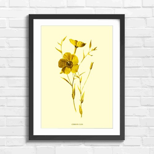 Vintage crimson flower - vintage,