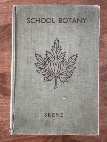 Vintage school botany book - vintage,