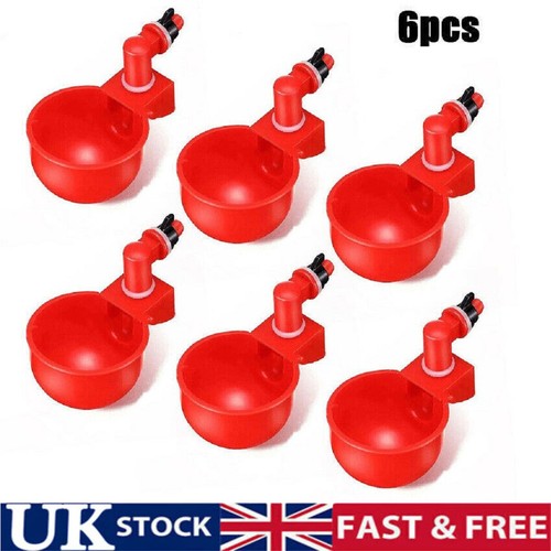 Automatic chicken water cup - 6x,