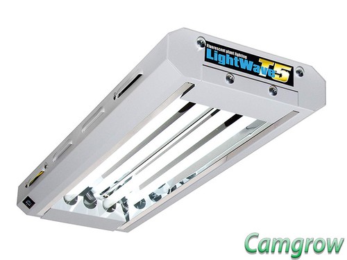 Lightwave fluorescent light - t5,