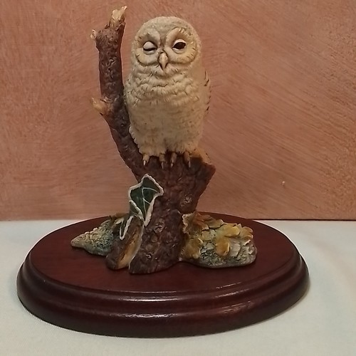 Border fine arts owlet - fine, owlet"