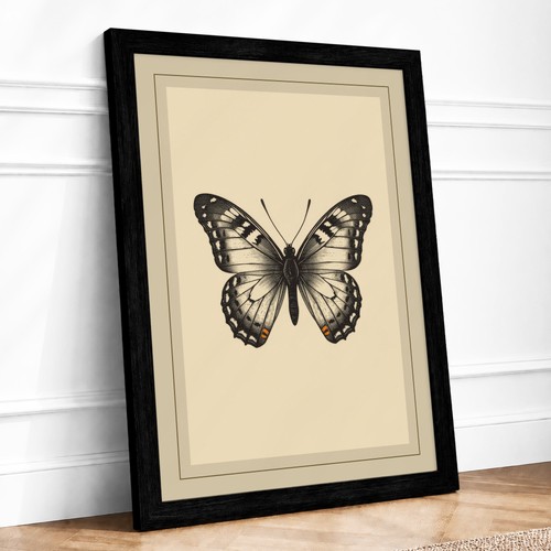 Symmetrical butterfly study - symmetrical,