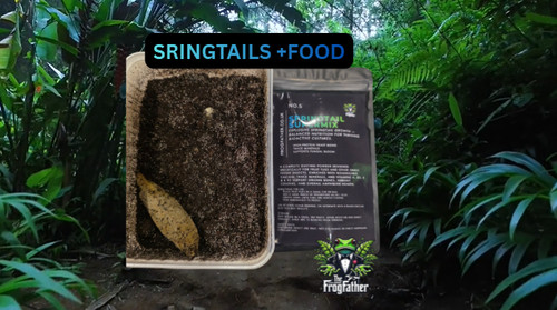 Springtails supermix live - springtails,