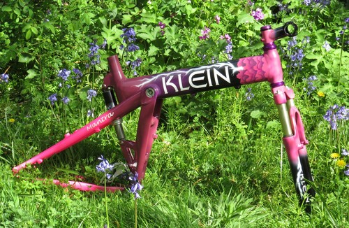 Klein mantra storm - mantra, frame
