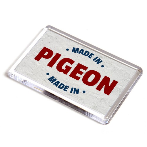 Fridge magnet made - -, pigeon