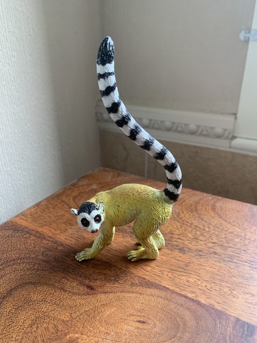 Aaa elc ring tailed lemur - aaa/elc,