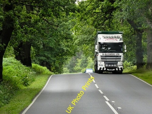 Photo 6x4 daf the - photo,