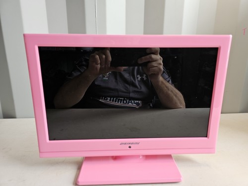 Digihome 16912led pink - pink, 16"