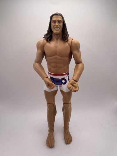 Mattel wwe matt riddle figure - matt,