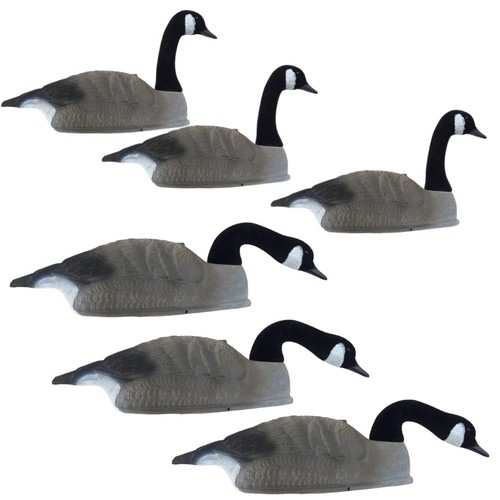 Canada goose decoy - canada, x6