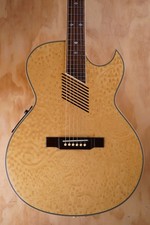 Washburn Festival Series EA-36