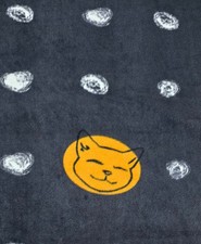 2.4m Remnant orange moon cat