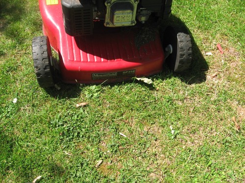 Mountfield sp454 lawnmower - sp454,