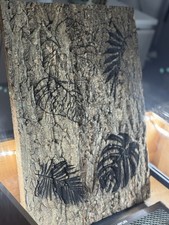 Engraved Reptile Cork