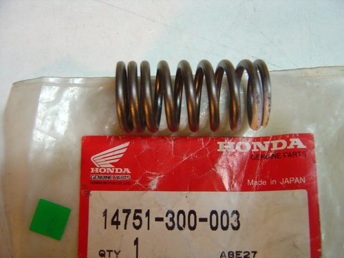 Internal valve spring - spring, of