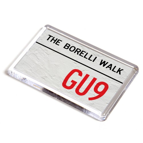 Fridge magnet the borelli - fridge,