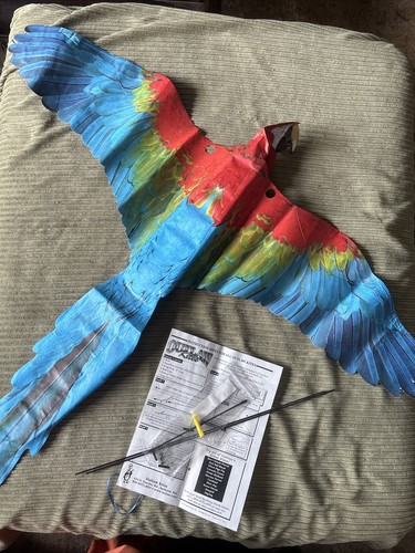 Outlaw decoy macaw - outlaw, parrot