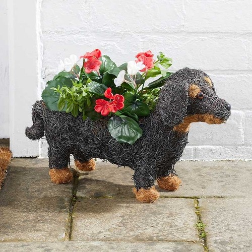 Garden flower plant planter - flower,