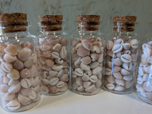 Vial groatie buckies - 1, (trivia