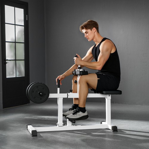 Seated calf raise machine - seated,